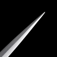 Medieval Sword Dragon Pattern Knight