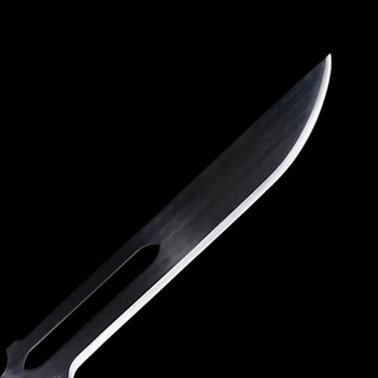 Kurosaki Ichigo's Sword Bleach Anime
