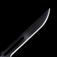 Kurosaki Ichigo's Sword Bleach Anime