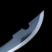 Kyoraku Shunsui's Sword Bleach Anime