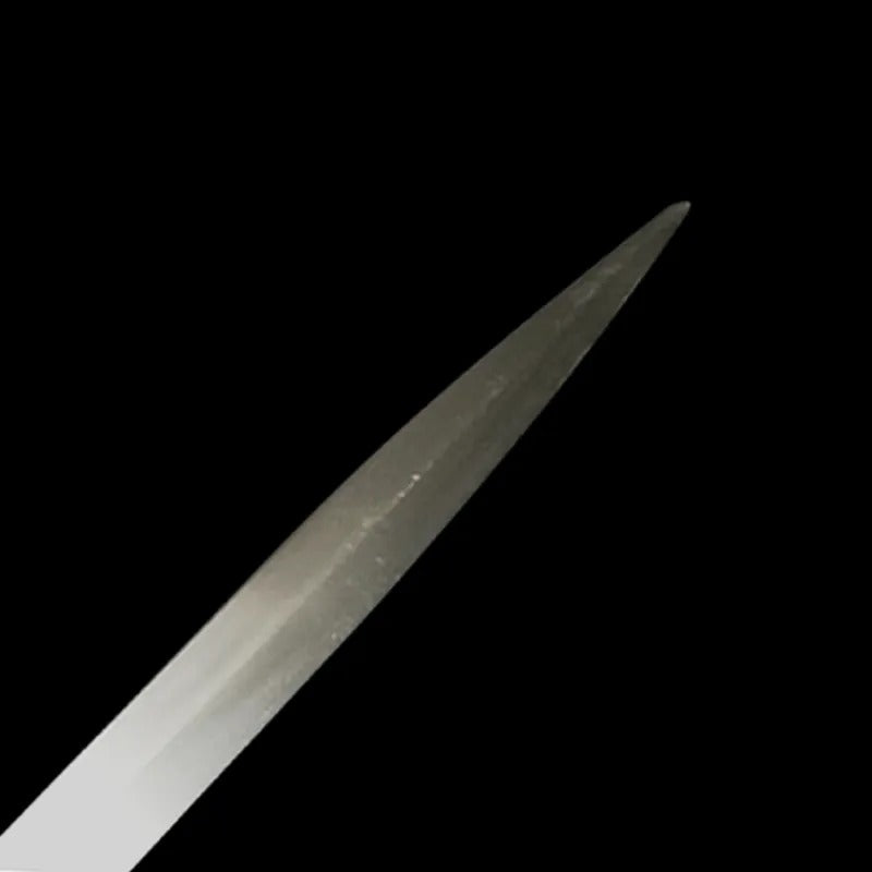Medieval Sword Stainless Steel Black