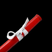 Tomioka Giyuu Demon Slayer Anime Sword